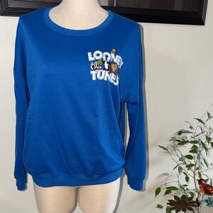 Warner Bros. Looney Tunes Blue Crew Neck Sweater “That’s all folks” size M